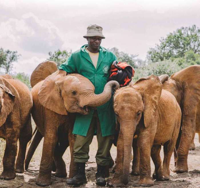 Photo courtesy of Sheldrick Wildlife Trust